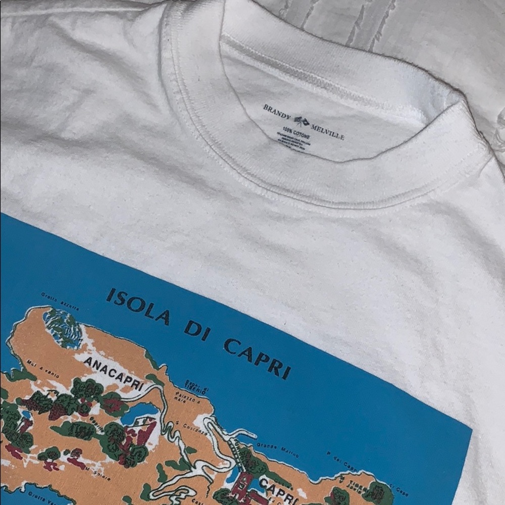 RARE brandy melville “ISOLA DI CAPRI” crew neck